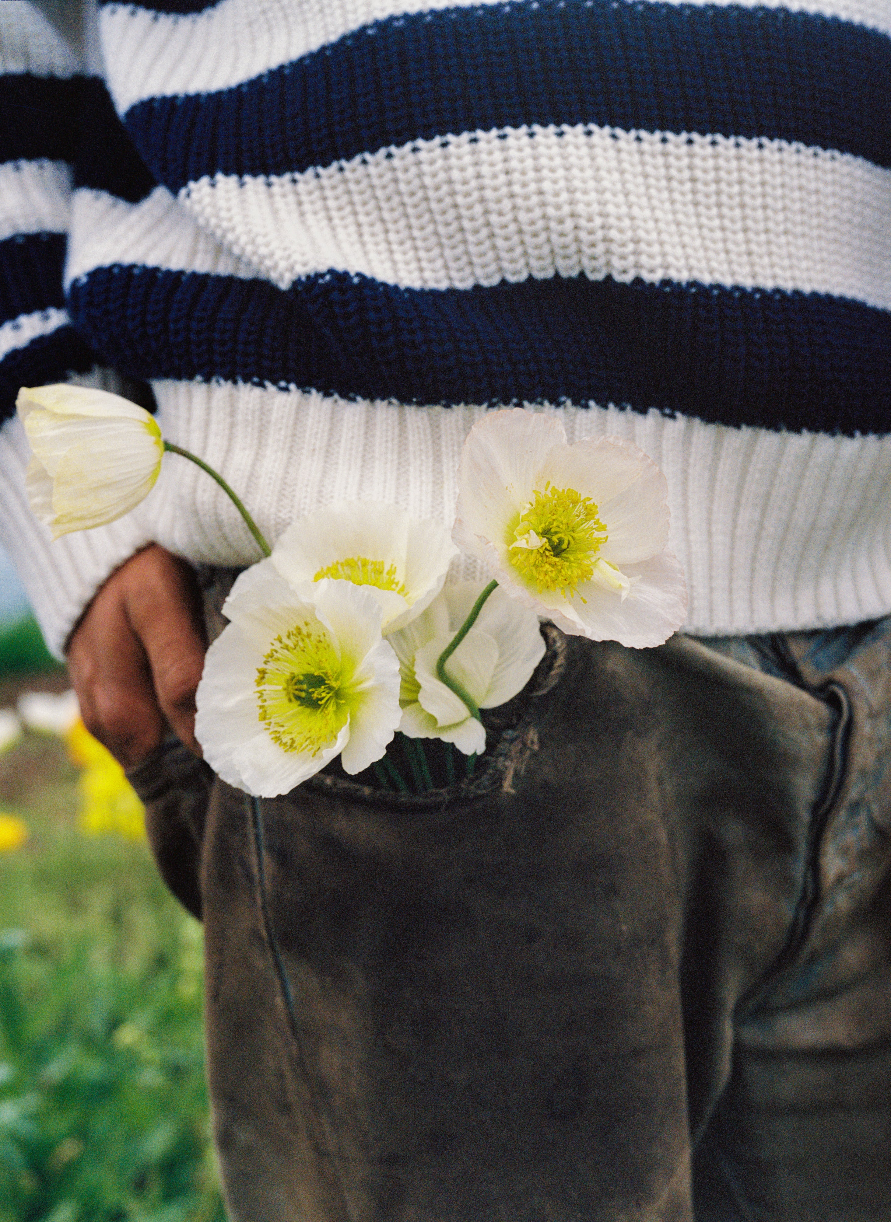 Musa Herrenpullover Summer Midnight Knit Stripes