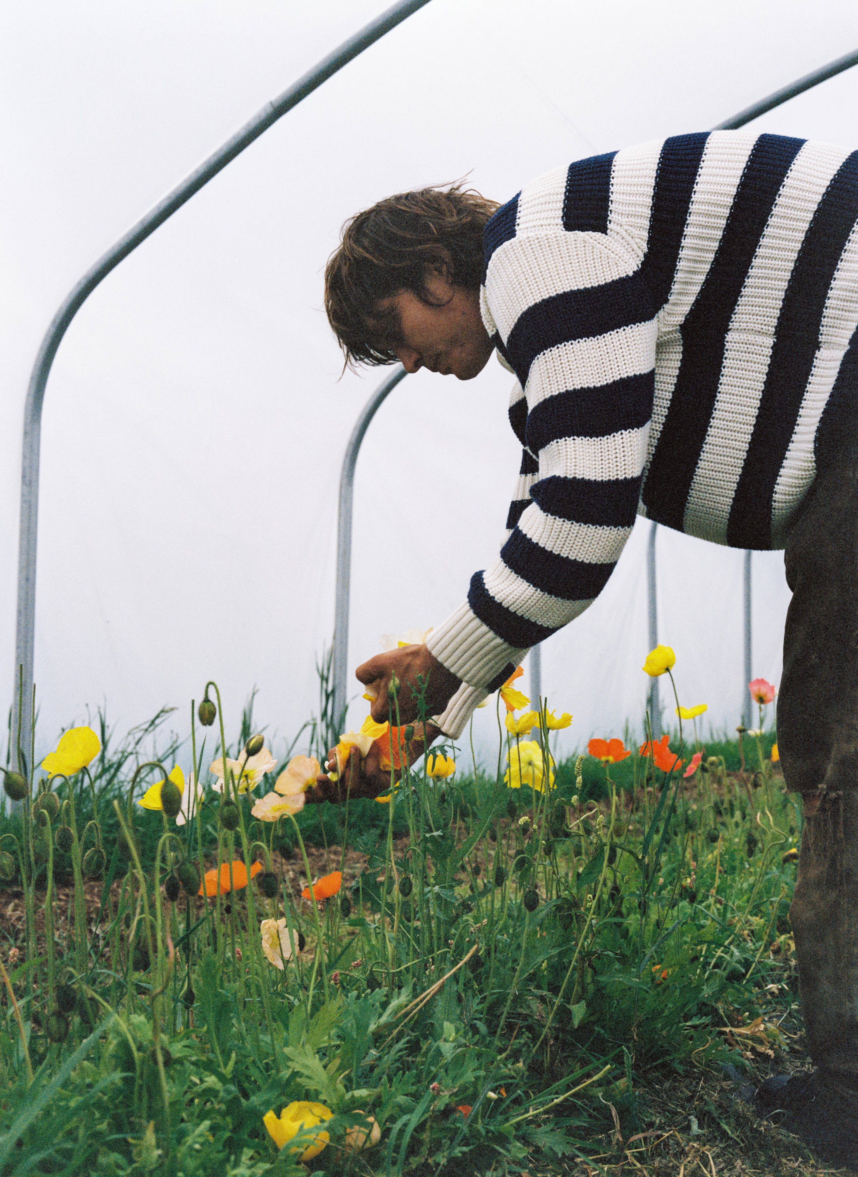 Musa Herrenpullover Summer Midnight Knit Stripes