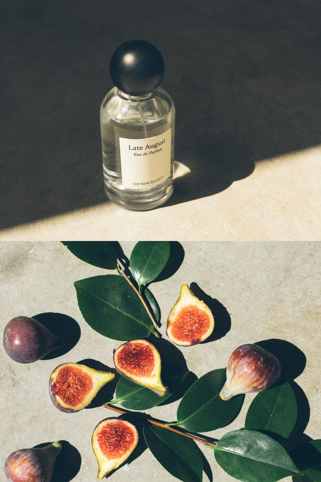 Our first fragrance. A quiet beginning.
Late August is inspired by the final golden days of summer — when time softens, light lingers, and everything feels suspended between what is and what’s about to begin.