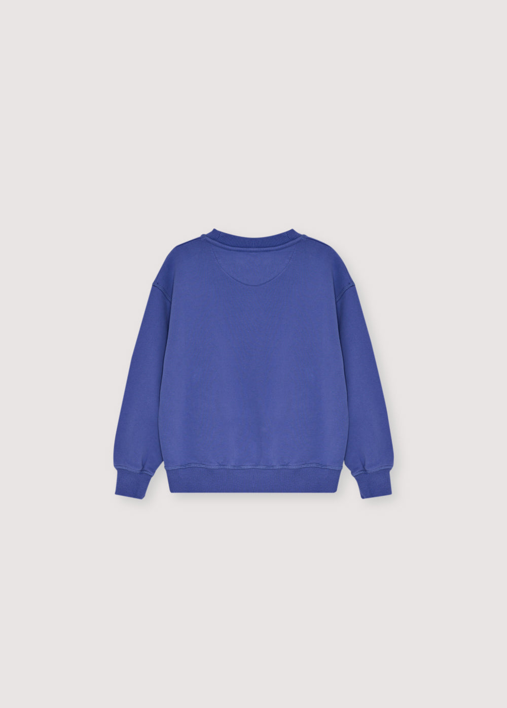 TNS Logo Sweatshirt Royal Purple_Sampling