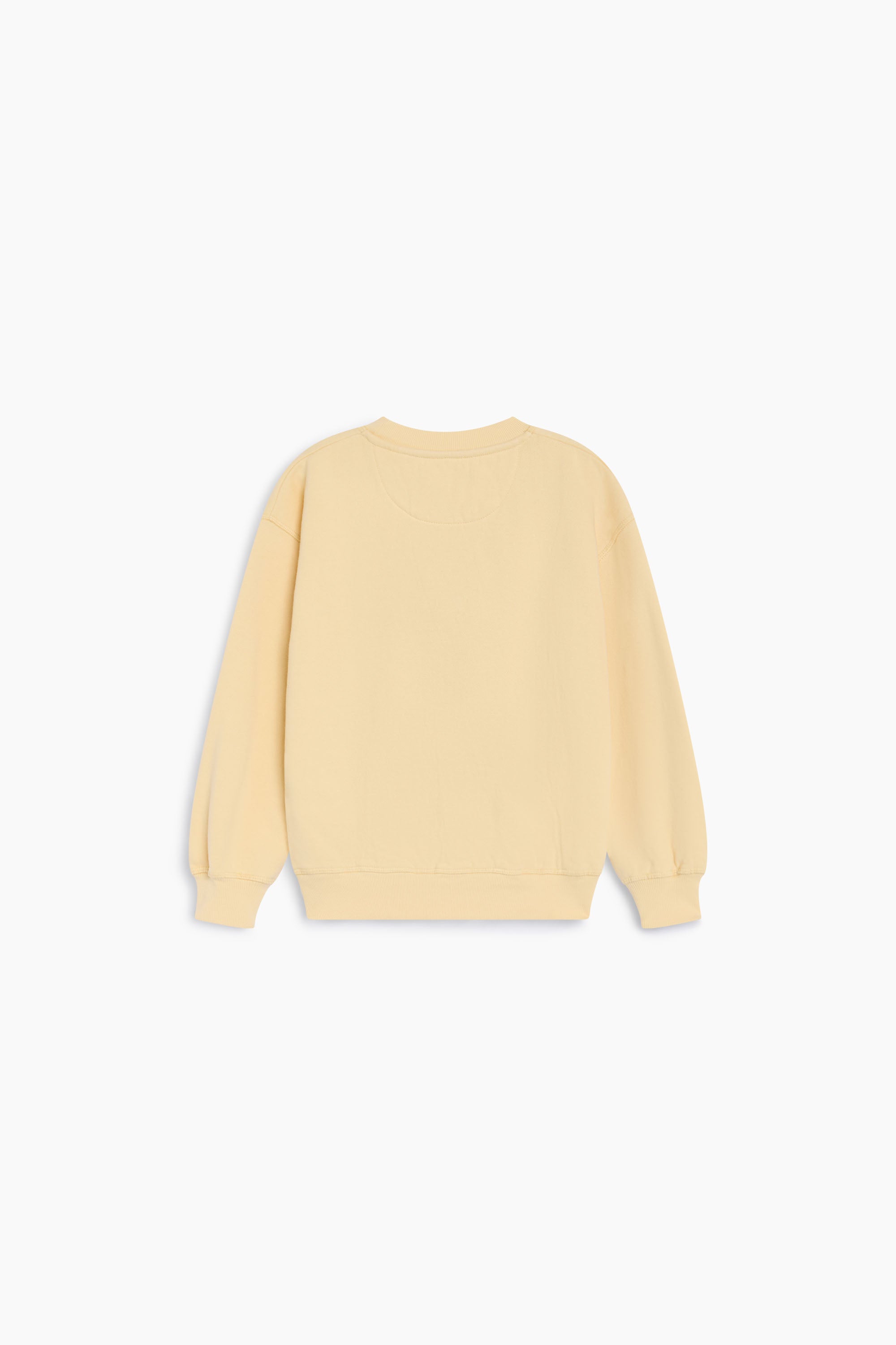 TNS Logo Sweatshirt Sunlight