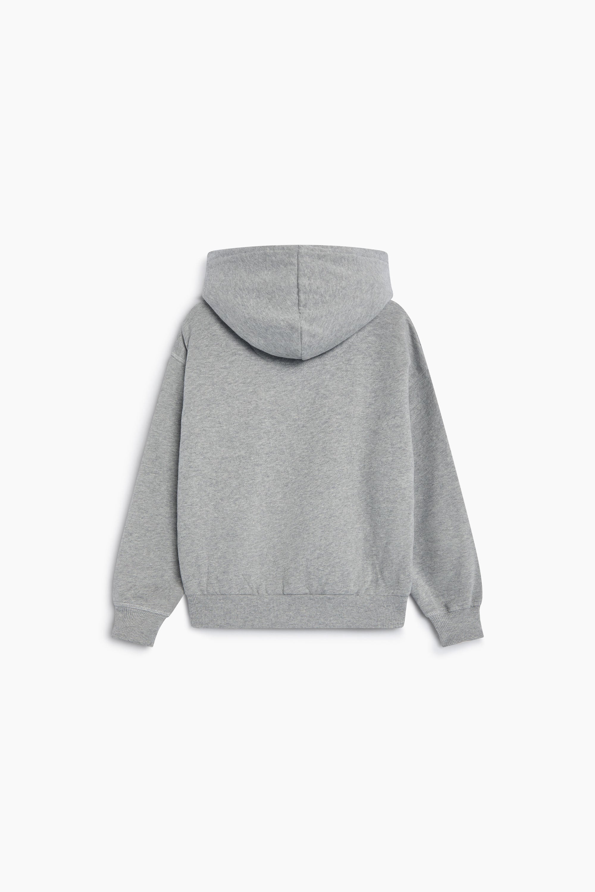 Sudadera con capucha TNS Logo Mid Grey Melange