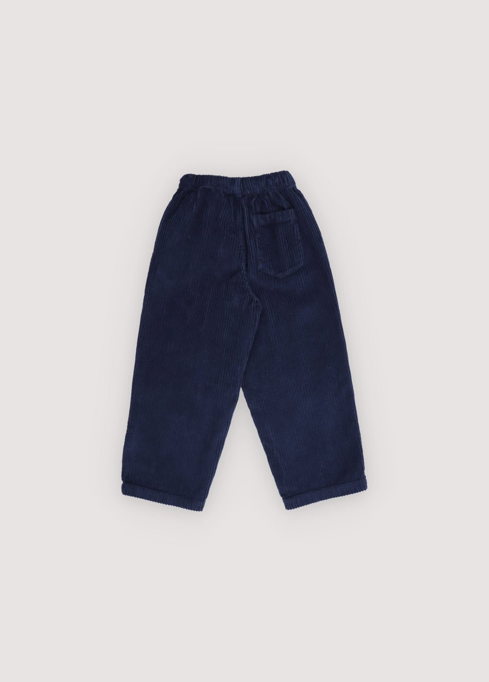 Nicol Pant Infinite Navy_Sampling