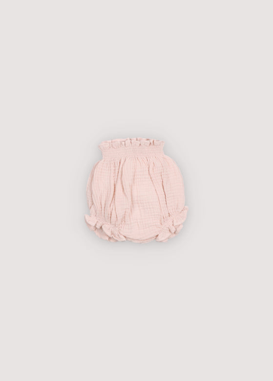 Campanilla Baby Bloomer Pétale Rose_Échantillonnage