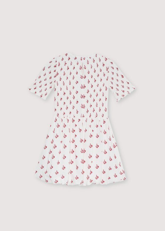 Poppy Teen Dress Poppy Print_SamplingDress