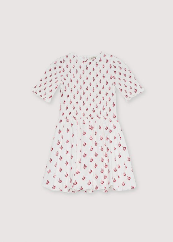Poppy Teen Dress Poppy Print_SamplingDress