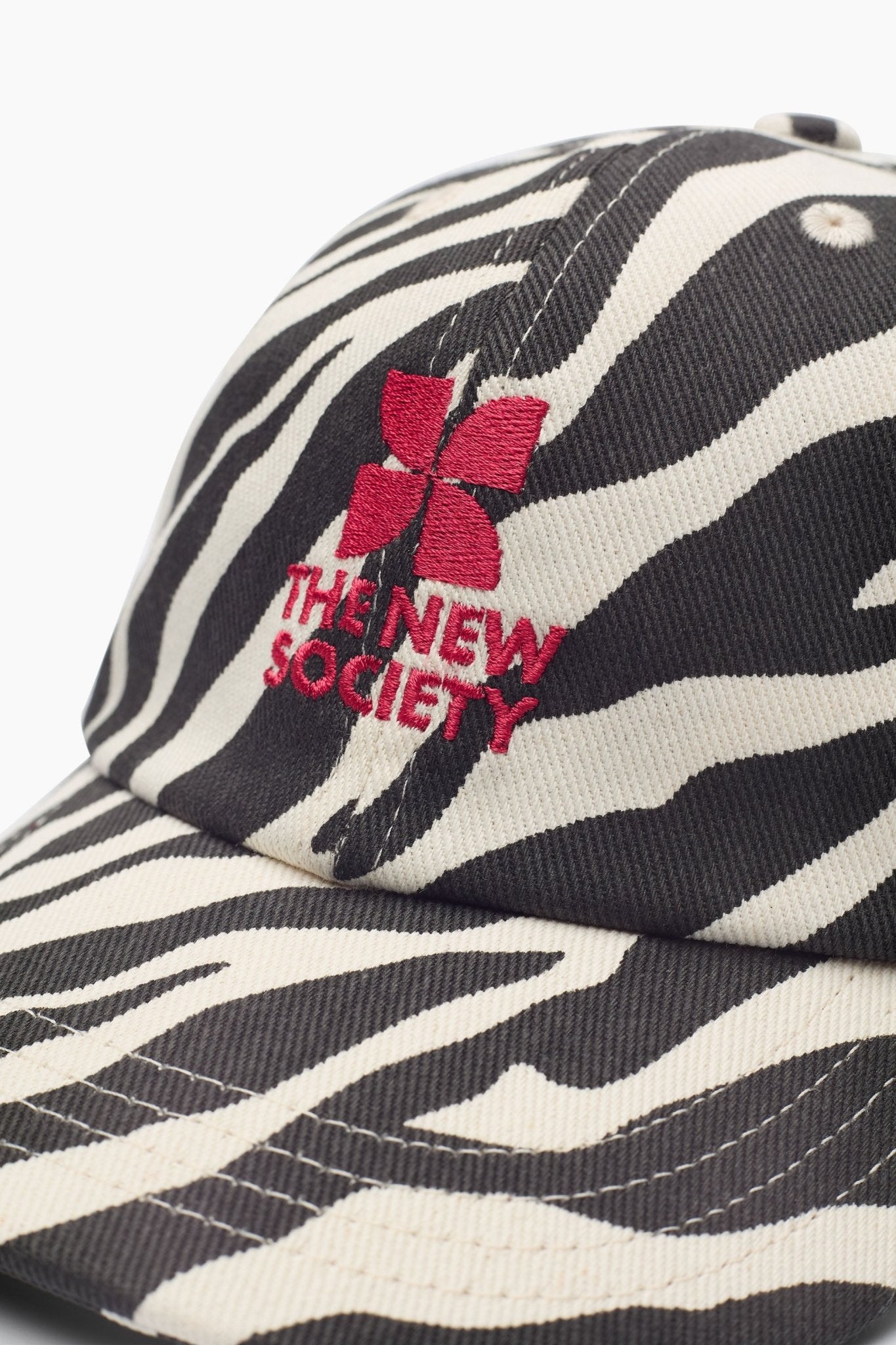 TNS Logo Cap