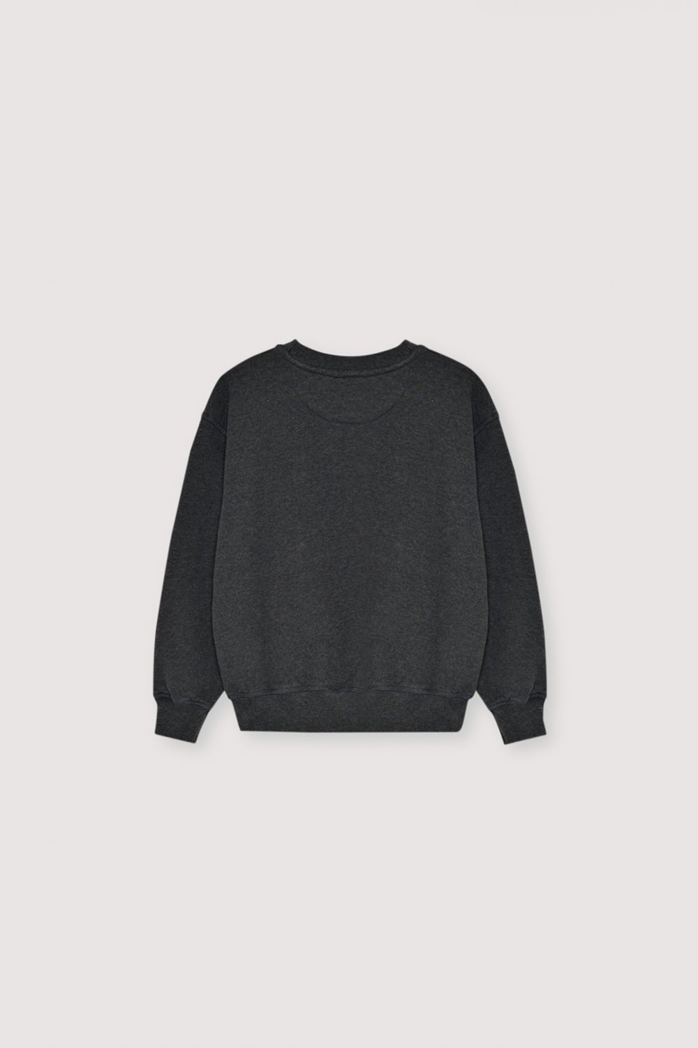 TNS Logo Special Sweatshirt Galactic Grey Melange