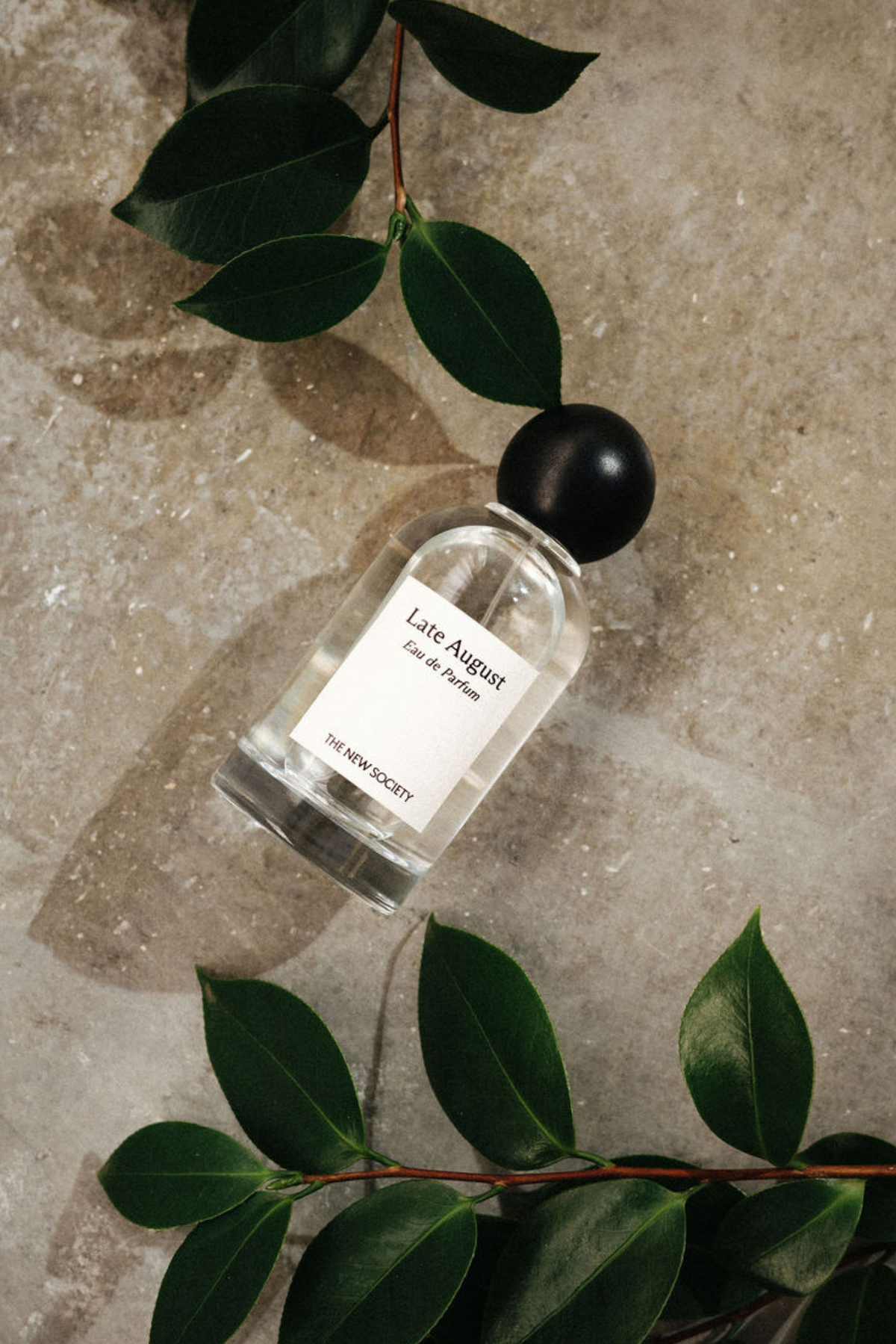Late August Perfume