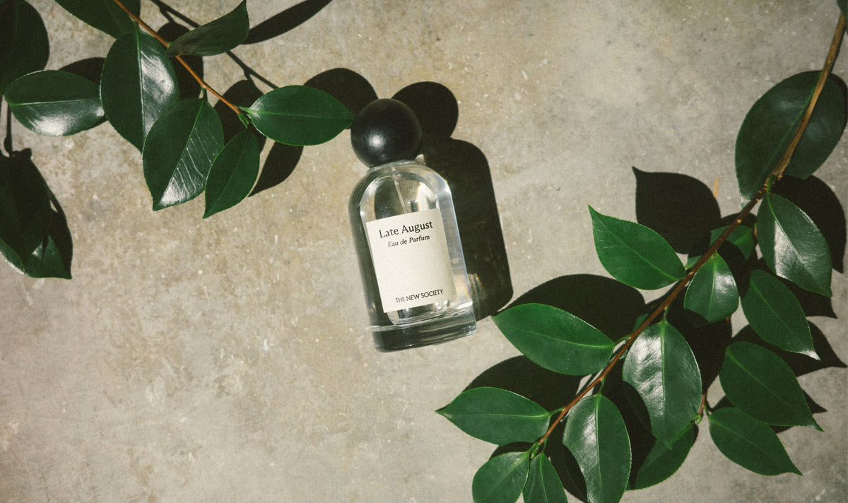 Our first fragrance. A quiet beginning.

Late August is inspired by the final golden days of summer — when time softens, light lingers, and everything feels suspended between what is and what’s about to begin.