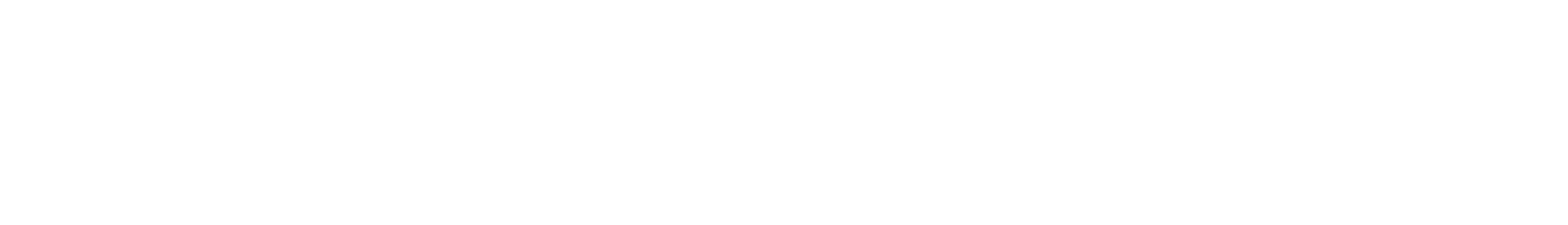 The New Society  logo with simple and elegant design reflecting contemporary fashion brand