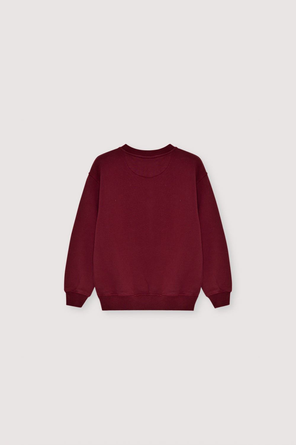 TNS Logo Special Sweatshirt Plum Fantasy