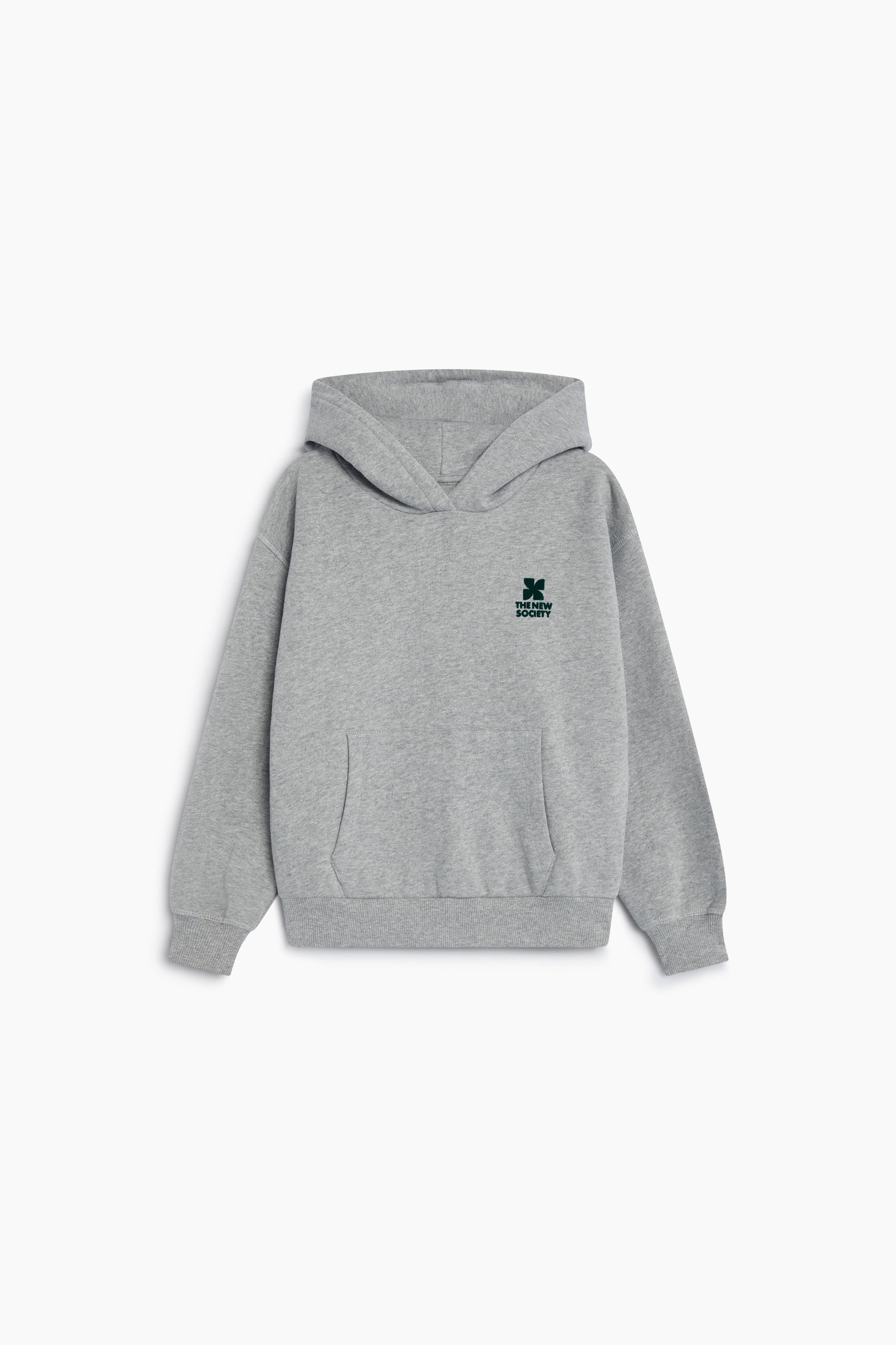 Sudadera con capucha TNS Logo Mid Grey Melange