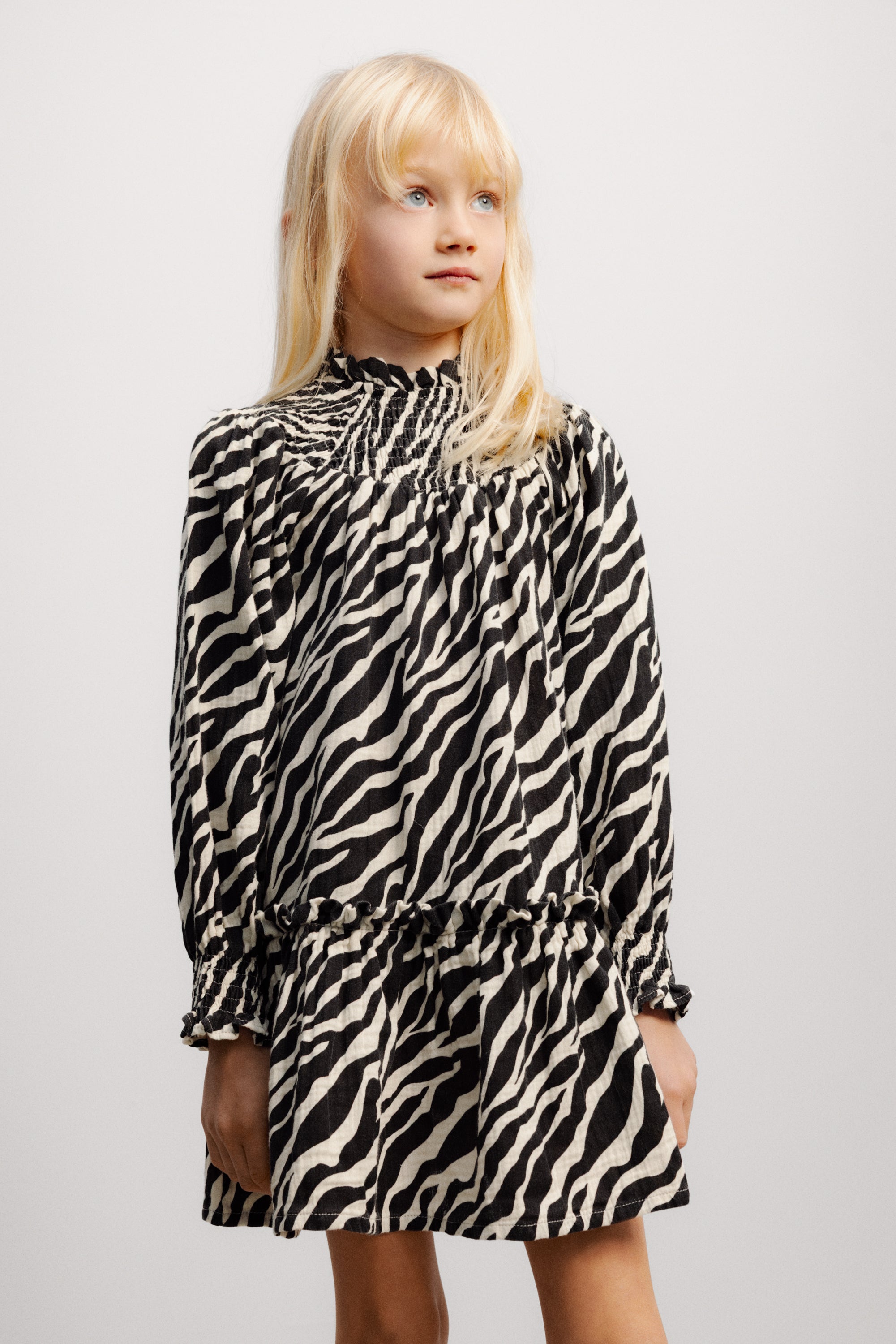Zephyr Dress Zebra Print