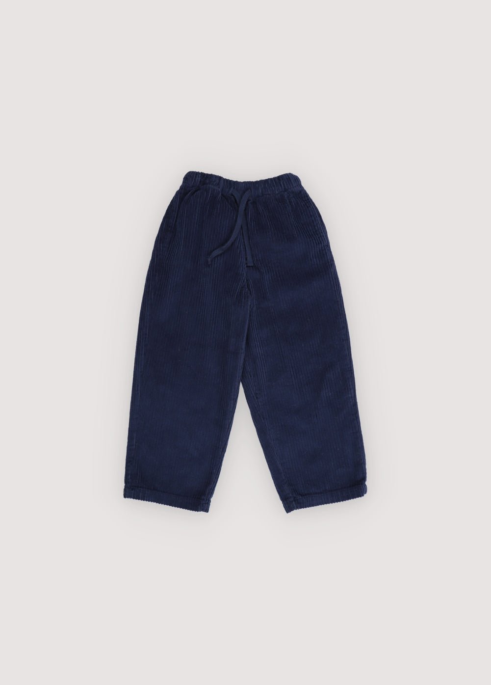 Nicol Pant Infinite Navy_Sampling