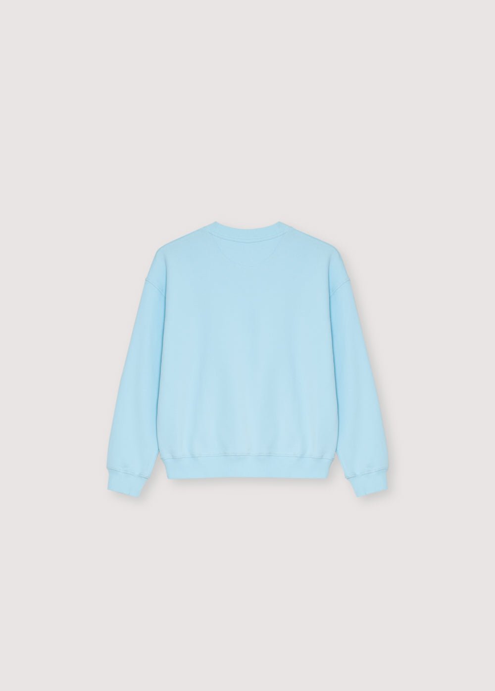 Salvia Teen Sweatshirt Soft Sky _SamplingSweaters