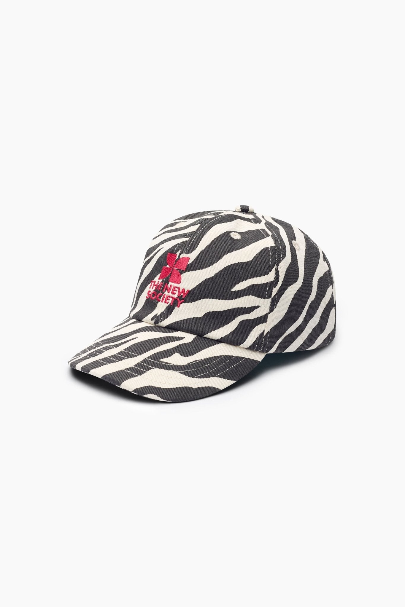 TNS Logo Cap