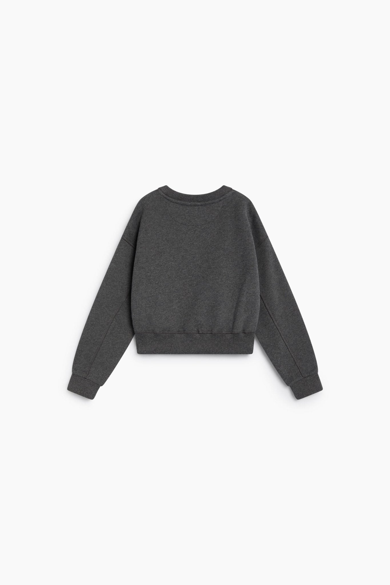 TNS Logo Sweatshirt Dark Grey Melange