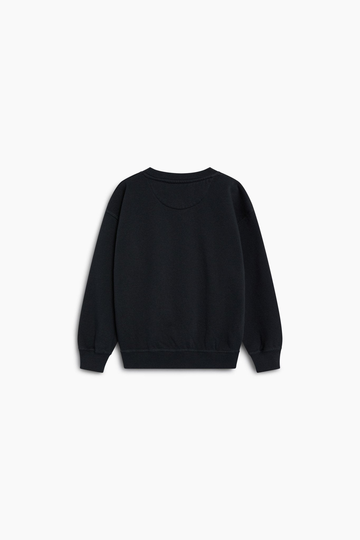TNS Logo Sweatshirt Forged Iron